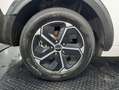 Kia Niro 1.6 GDI PHEV 135KW (183CV) CONCEPT Blanco - thumbnail 37