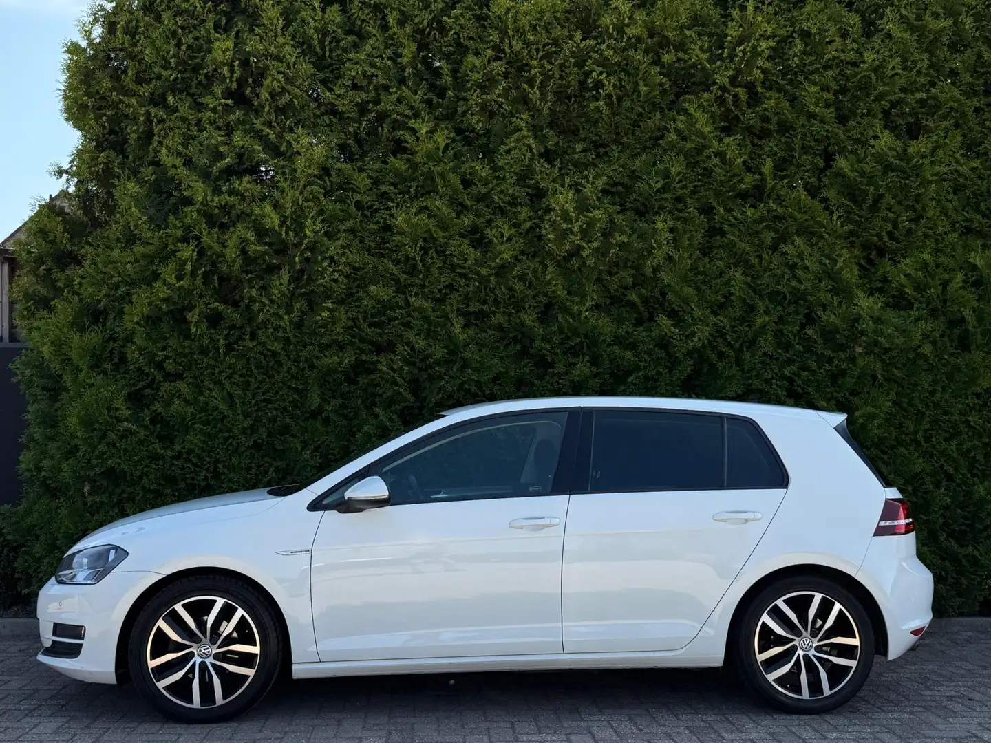 Volkswagen Golf 1.0 TSI CarPlay Camera LED White - 2