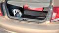 Kia Rio 1.3 SOHC RS Oro - thumbnail 12