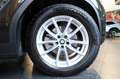 BMW X3 xDrive20d 48V Business Advantage -VIRTUAL/TELECAM. Marrone - thumbnail 6