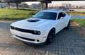 Dodge Challenger WIDEB 5.7 HEMI*Sitzklima*Shaker*H&K Weiß - thumbnail 4