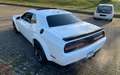 Dodge Challenger WIDEB 5.7 HEMI*Sitzklima*Shaker*H&K Weiß - thumbnail 3