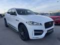 Jaguar F-Pace 30d AWD R-Sport Aut. Weiß - thumbnail 3
