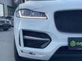 Jaguar F-Pace 30d AWD R-Sport Aut. Weiß - thumbnail 9