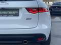 Jaguar F-Pace 30d AWD R-Sport Aut. Weiß - thumbnail 10