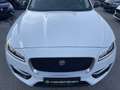 Jaguar F-Pace 30d AWD R-Sport Aut. Weiß - thumbnail 8