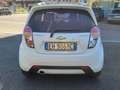 Chevrolet Spark 3295556033*NEOPATENTATI*Spark*1.2*LT Bianco - thumbnail 5
