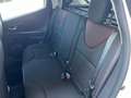 Renault Clio 1.5 dCi 75cv - 5p. - Km 83.600 Beige - thumbnail 13