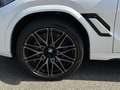BMW X6 M Compet.SuView ACC PanoD.MultifS.Soft 21/22" Weiß - thumbnail 10