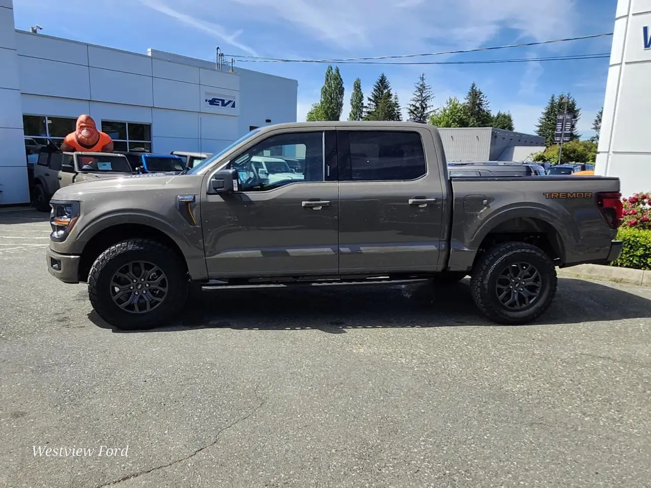 Ford F 150 photo Ford F 150