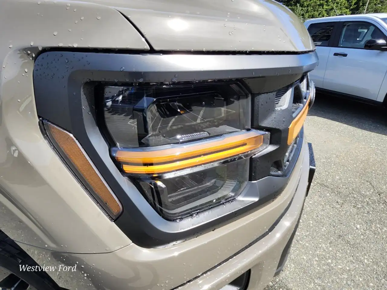 Ford F 150 photo Ford F 150