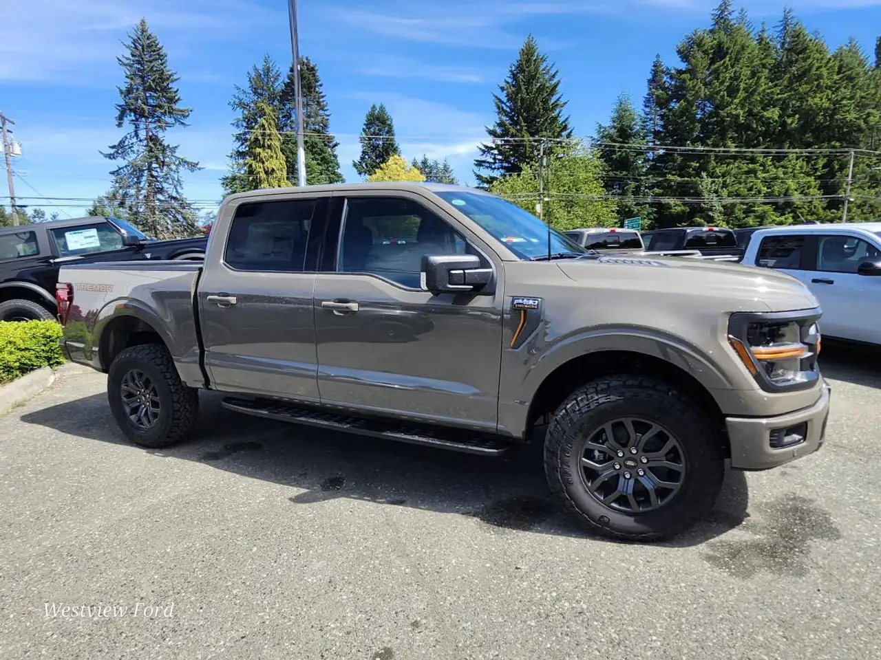 Ford F 150 photo Ford F 150