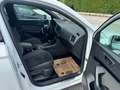 SEAT Ateca Xcellence 4Drive Weiß - thumbnail 27