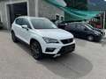 SEAT Ateca Xcellence 4Drive Weiß - thumbnail 29