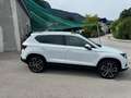 SEAT Ateca Xcellence 4Drive Weiß - thumbnail 12