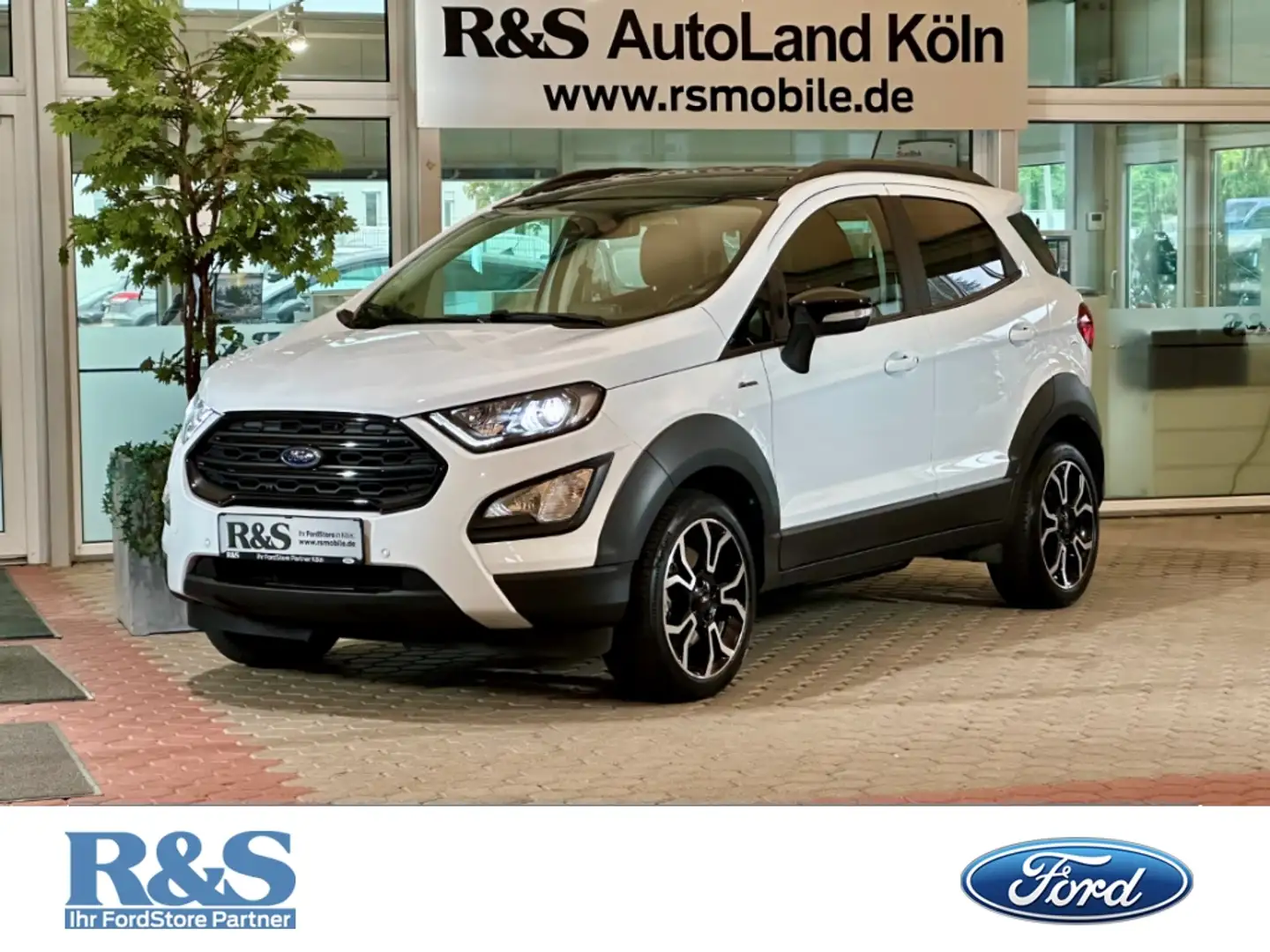 Ford EcoSport Active+Navi+Kamera+B&O+Key-Free+Tempo Wit - 1
