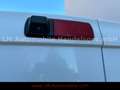 Fiat Talento Kasten L1H1 1,0t SX*Klima*Navi* Weiß - thumbnail 17