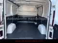 Fiat Talento Kasten L1H1 1,0t SX*Klima*Navi* Weiß - thumbnail 12