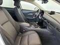 Mazda CX-30 2.0L Skyactiv-G M Hybrid 2WD Executive Bianco - thumbnail 8
