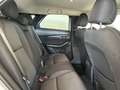 Mazda CX-30 2.0L Skyactiv-G M Hybrid 2WD Executive Bianco - thumbnail 7