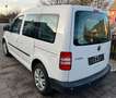 Volkswagen Caddy Kombi 1.2 TSI 63 kW Klima,2 Schiebetüren Weiß - thumbnail 3
