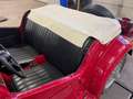 MG TD Midget Rot - thumbnail 10