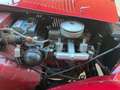 MG TD Midget Rot - thumbnail 14