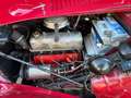 MG TD Midget Rot - thumbnail 15