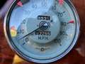 MG TD Midget Rot - thumbnail 11