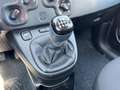 Fiat Panda My23 1.0 70cv Hybrid Panda Bianco - thumbnail 13