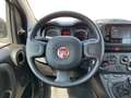Fiat Panda My23 1.0 70cv Hybrid Panda Bianco - thumbnail 10
