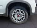 Fiat Panda My23 1.0 70cv Hybrid Panda Bianco - thumbnail 6