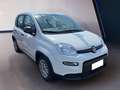 Fiat Panda My23 1.0 70cv Hybrid Panda Bianco - thumbnail 3