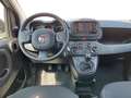 Fiat Panda My23 1.0 70cv Hybrid Panda Bianco - thumbnail 9