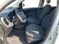 Fiat Panda My23 1.0 70cv Hybrid Panda Bianco - thumbnail 8