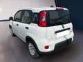 Fiat Panda My23 1.0 70cv Hybrid Panda Bianco - thumbnail 5