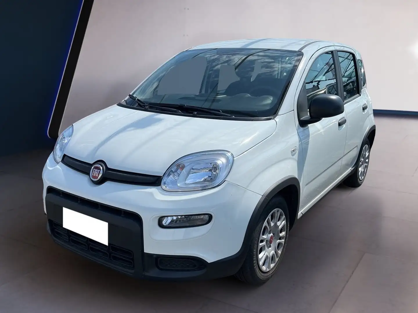 Fiat Panda My23 1.0 70cv Hybrid Panda Bianco - 2