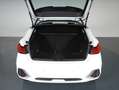 Audi A1 Citycarver 30 1.0 tfsi Admired 110cv s-tronic Nero - thumbnail 14
