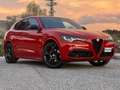 Alfa Romeo Stelvio 2.2 Tributo Italiano Q4 210 Aut. Rojo - thumbnail 9