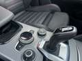 Alfa Romeo Stelvio 2.2 Tributo Italiano Q4 210 Aut. Rojo - thumbnail 16