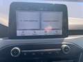 Ford Focus 1.0 EcoBoost Hybrid 125 CV 5p. Active Style Blu/Azzurro - thumbnail 12