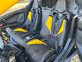 Can-Am - Geel - thumbnail 7