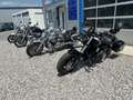 BMW R 850 C BMW 259 C ABS KOFFER SCHEIBE Zwart - thumbnail 11