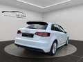 Audi A3 A3 Sportback 1.6 tdi Ambition S-LINE 110cv E6 Bianco - thumbnail 4