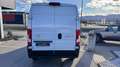 Toyota Proace Max 35+ L3H2 2,2 ID 140 HD Prowork  Aktion Weiß - thumbnail 8