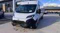 Toyota Proace Max 35+ L3H2 2,2 ID 140 HD Prowork  Aktion Weiß - thumbnail 2