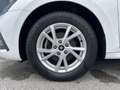 Skoda Octavia Style TDI DSG Weiß - thumbnail 5