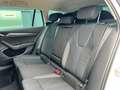 Skoda Octavia Style TDI DSG Weiß - thumbnail 19