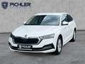 Skoda Octavia Style TDI DSG Weiß - thumbnail 1