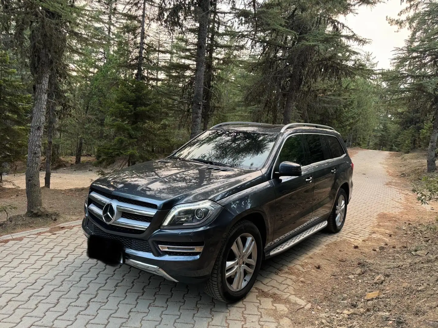 Mercedes-Benz GL 350 BlueTEC 4Matic 7G-TRONIC - 1